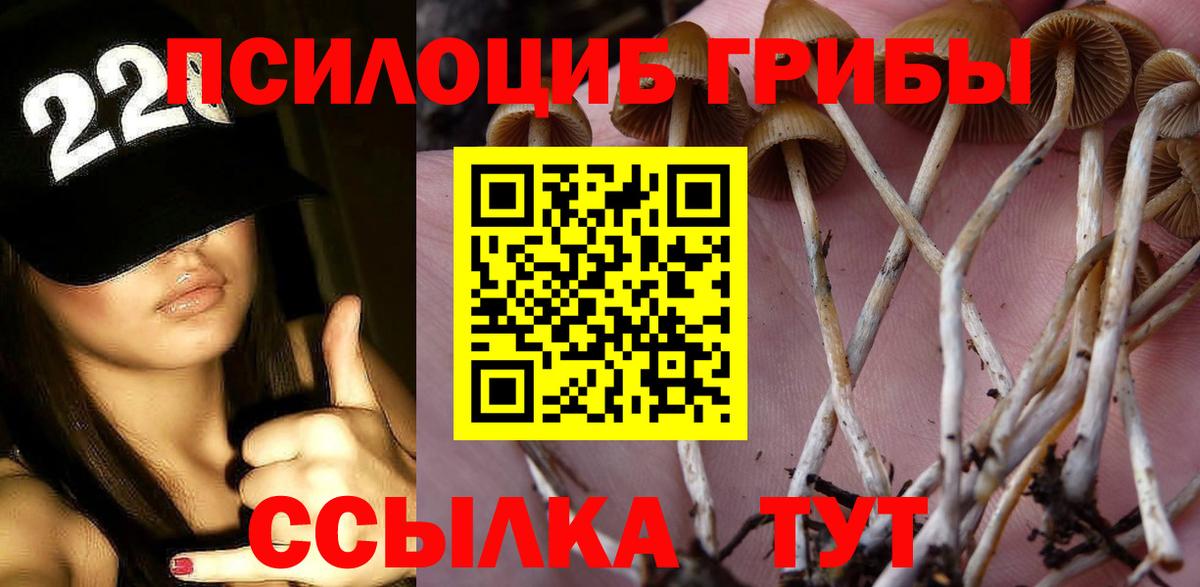 Галлюциногенные грибы прущие грибы  Вход с VPN  Богданович 